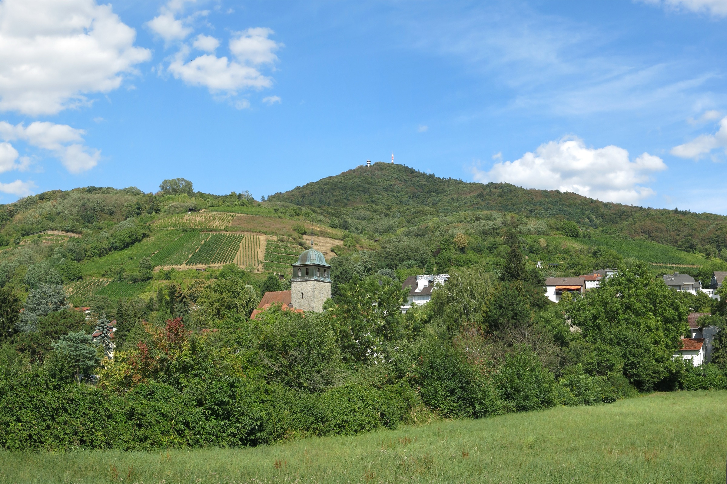 Blick auf den Melibokus von Zwingenberg, Heimat des VfL Zwingenberg Leichtathletik